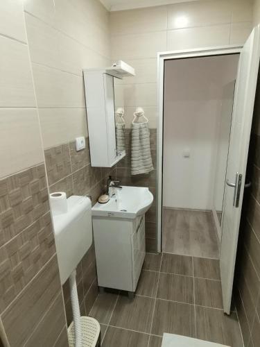 a bathroom with a sink and a toilet and a mirror at Fantastik in Bajina Bašta