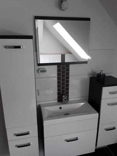 a bathroom with a sink and a mirror at Landhaus Waldblick in Kritzow