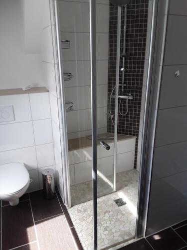 a shower with a glass door in a bathroom at Landhaus Waldblick in Kritzow