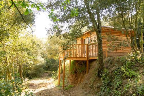 Nits de Bosc – Photos 5