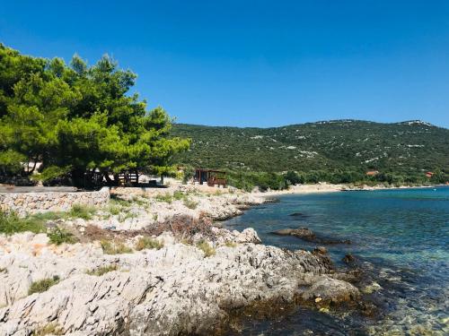 a view of a beach with trees and water at Apartments Villa Lora in Kraj