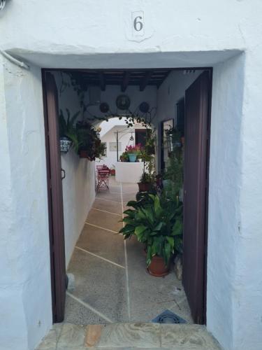 Fotografie z fotogalerie ubytování El Aljibe de Cobarrubias, Apartamento 3, terraza privada v destinaci Vejer de la Frontera