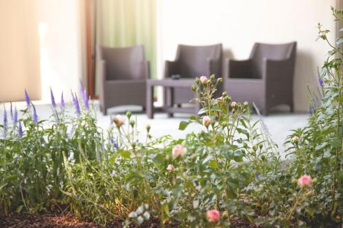 a garden with flowers and chairs in a room at Centro Magliaso in Magliaso