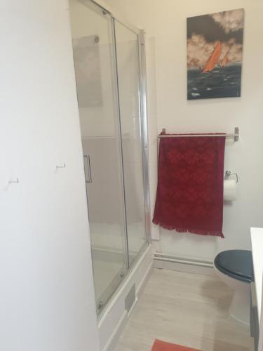La salle de bains est pourvue d'une douche et d'une serviette rouge. dans l'établissement Au coeur de Vannes, à Vannes