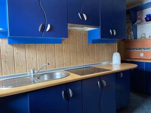 a blue kitchen with a sink and blue cabinets at Apartament Krystynka nr 2 in Poronin