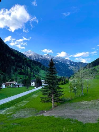 a green field with a tree and a road at Tattoo PENSION mit Restaurant und Tattoo-Studio in Mörtschach