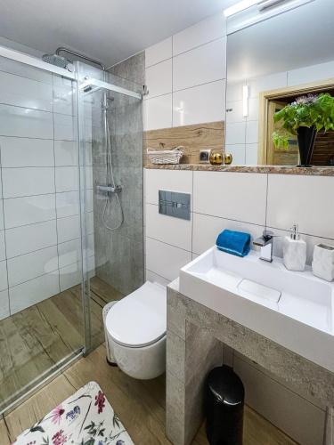 a bathroom with a toilet and a sink and a shower at Uroczysko in Lesko