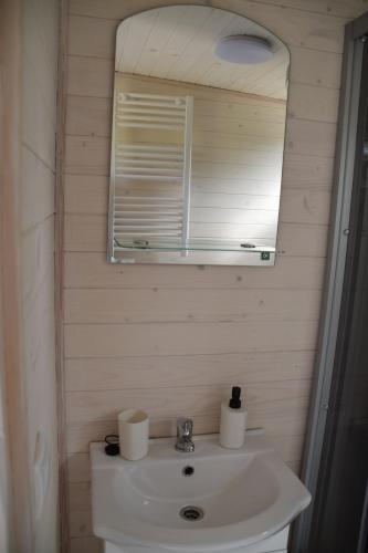 a bathroom with a sink and a mirror at Domek "Marla 1" in Żelistrzewo