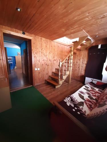 Una habitación con escalera y una cama en una cabaña en Карпатія, en Krivorovnya