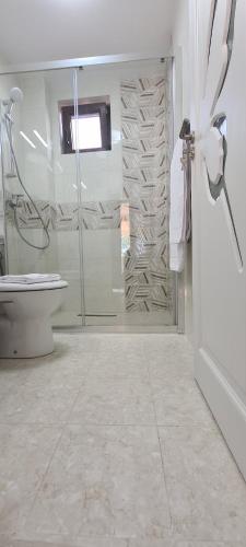 a white bathroom with a shower and a toilet at Casa Carpov Sulina in Sulina