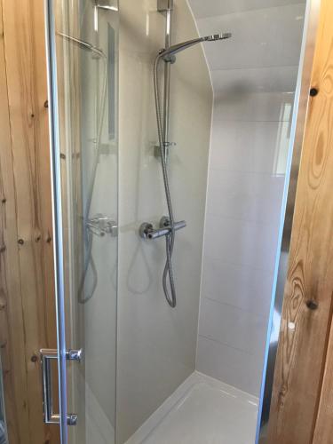 a shower with a glass door in a bathroom at Cil y Coed Luxury Pod in Machynlleth