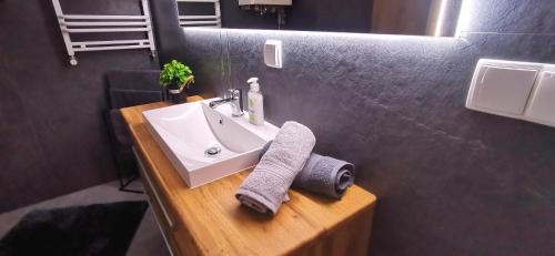 a bathroom with a sink with a towel on a counter at Apartamenty Green&Blue w Węgorzewie- GREEN in Węgorzewo