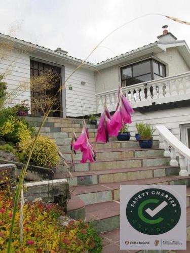 a house with pink decorations on the stairs at Kilbree House B&B in Galway