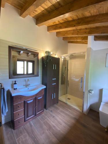 a bathroom with a sink and a shower at Vivienda Vacacional Del Busto - Ribadesella in Ribadesella
