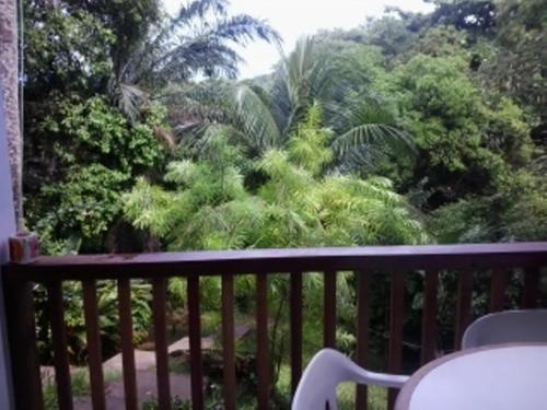 balcón con vistas a un bosque de palmeras en Casa em Morro de São Paulo, en Morro de São Paulo