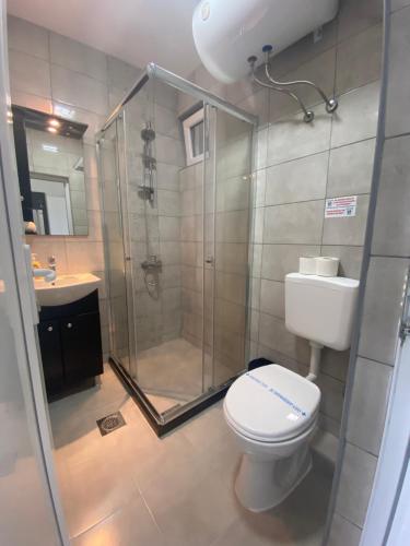 a bathroom with a shower and a toilet and a sink at Etno Selo Timcevski Complex in Kumanovo