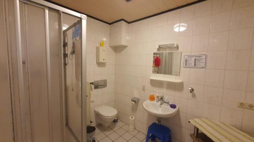 a bathroom with a toilet and a sink at Haus Born in Treis-Karden