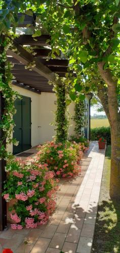 un giardino con fiori rosa e un sentiero di Silos Torrenova a Potenza Picena