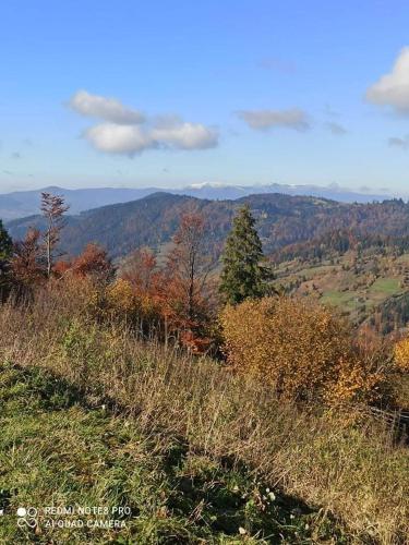 a view of a hill with trees and mountains at Котедж з неймовірними краєвидами, Карпатський Чан DREAM, Чан Джакузі in Slavske