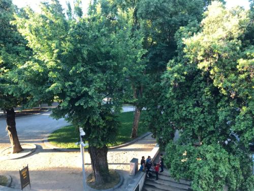 a group of people standing under a tree in a park at Central Park Residence in Split