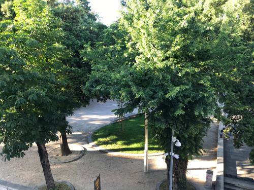a group of three trees in a park at Central Park Residence in Split