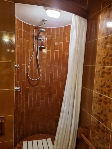 a bathroom with a shower with a shower curtain at A COLLODI IO & MAMMA in Collodi