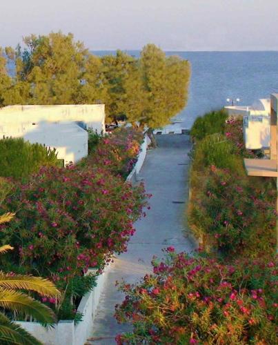 a walkway with flowers on it next to the water at Located by the sea one beachfront Private Captain Lazaros Pool Villa with loft in 750sqm spacious private plot-Jacuzzi-sunrelax-furnished terace-gazebo-private parking,sleep 3 adults and 2 children, just steps from the Black Beach-Seaview in Perissa