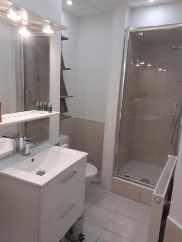a bathroom with a sink and a shower and a toilet at Studio en plein centre ville - 2 à 4 personnes in Tence