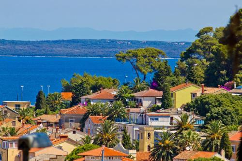 Apartment in Mali Lošinj with Seaview, Terrace, Air condition, WIFI (3780-2)