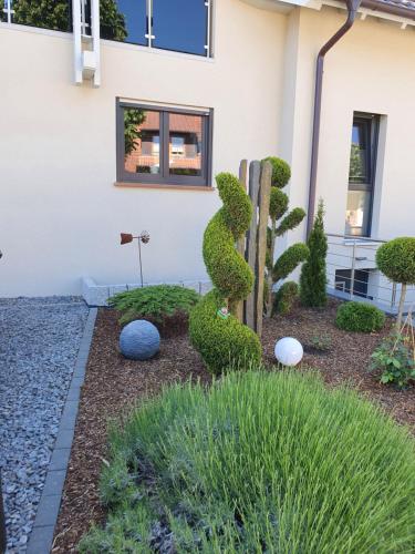 a garden in front of a house with a bush at Gästehaus Sonja in Rust