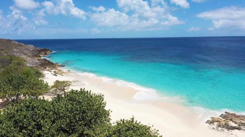 an aerial view of a beach with the ocean at Sandcastle Villa in Crocus Hill