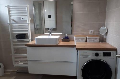 een badkamer met een wastafel en een wasmachine bij Superbe T2 lumineux 3*** 10 mn à pied de la plage in Le Pradet