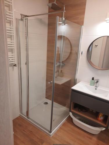 a glass shower in a bathroom with a sink at Apartament za świerkami in Kołobrzeg