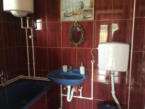 A bathroom at Kokin Brod Apartments