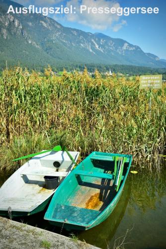a blue boat sitting in the water next to a field at Apartment Sonnleitn/Nassfeld in Sonnenalpe Nassfeld