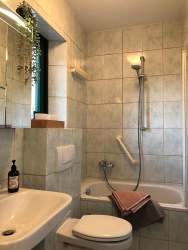 a bathroom with a shower and a toilet and a sink at Villenappartement mit Blick ins Grüne am Rande der wunderschönen Altstadt in Wismar