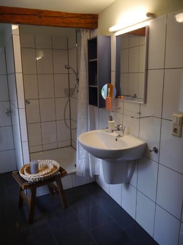 a bathroom with a sink and a shower at "Heckenrose" in Ilsenburg