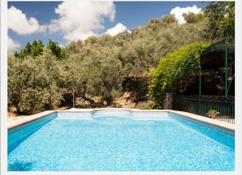 une piscine en face d'une colline plantée d'arbres dans l'établissement Huerta Solana, à Castril
