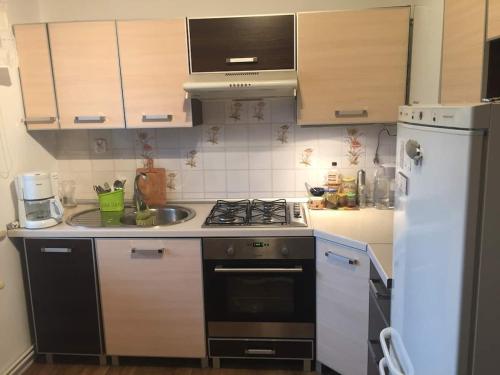 a small kitchen with a stove and a refrigerator at Cały apartament nad jeziorem in Drawno