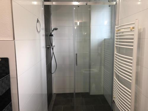 baño con ducha y puerta de cristal en Ferienwohnung Rheinfelden (Beuggen) en Beuggen