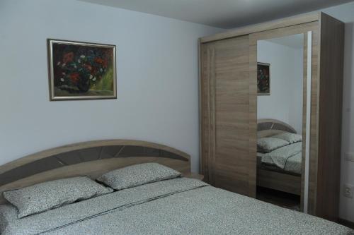 1 dormitorio con cama y espejo grande en Casa de vacanta - Ograda cu flori en Almaş