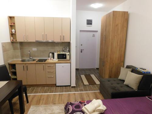 een keuken en een woonkamer met een bank bij Apartman Moka in Banja Koviljača