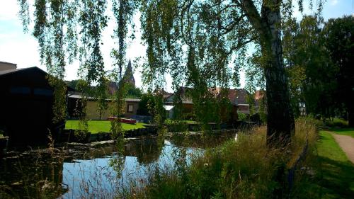 a tree hanging over a pond in a yard at Neukalener Stadthaus Zum Alten Schmied in Neukalen