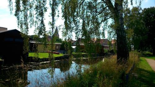 uma árvore pendurada sobre um lago num quintal em Neukalener Stadthaus Zum Alten Schmied em Neukalen