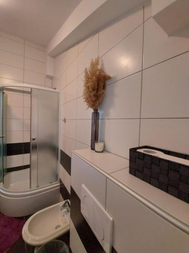 Ett badrum på Apartments Karadza