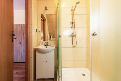 a bathroom with a sink and a shower at Na Kośnych in Poronin