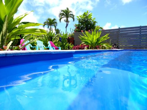 a blue swimming pool with chairs and palm trees at Muri Beach Studio with Pool in Rarotonga