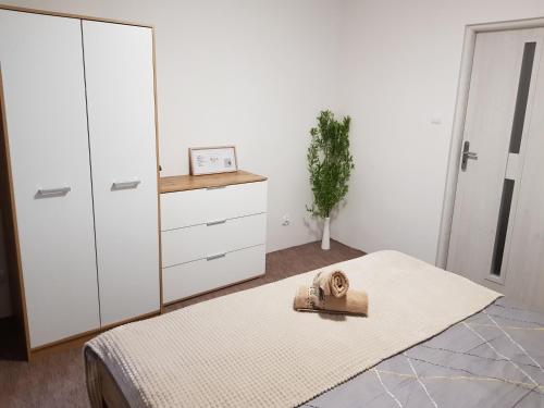 A bed or beds in a room at Apartament Wiejska Sielanka