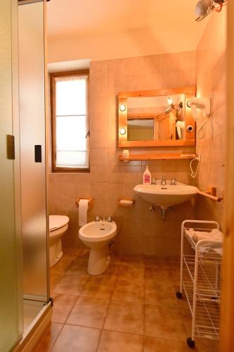 a bathroom with a sink and a toilet and a mirror at Residence Raethia tra Bormio e Livigno in Valdidentro