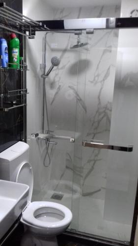 a bathroom with a shower with a toilet and a sink at Apartman Markovic Silver Lake in Veliko Gradište